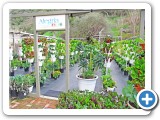 02AlegriaFreshEntry1WEB