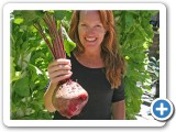 JessicaGreatBeetWEB
