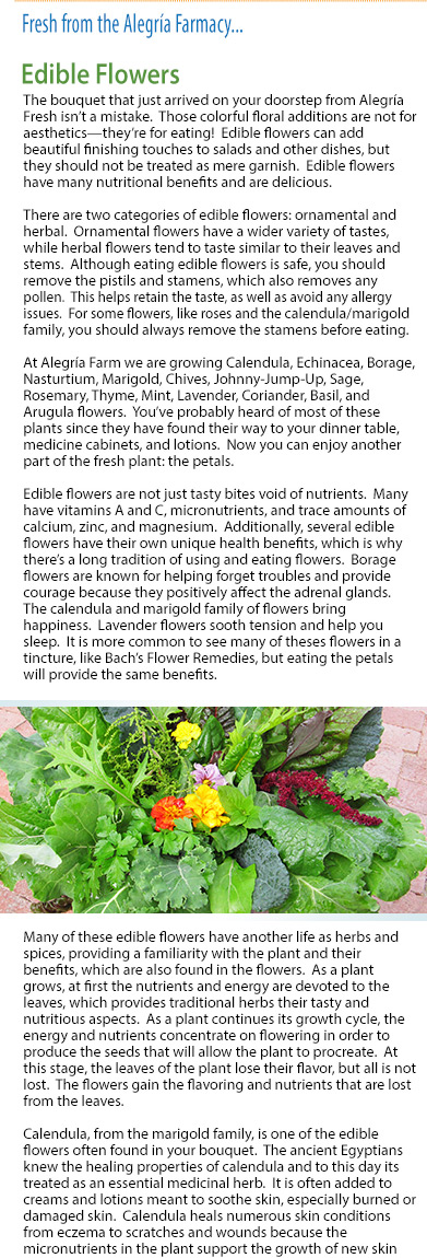 Fresh from the Alegría Farmacy: Edible Flowers