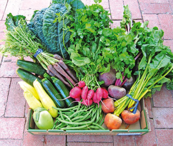 Alegría Fresh Organic Fruit & Vegetable Box